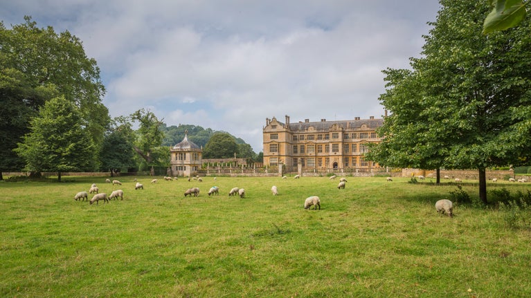 View of the east front of Montacute House with grassland, trees and sheep in the foreground.
